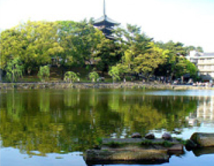 Sarusawa Pond